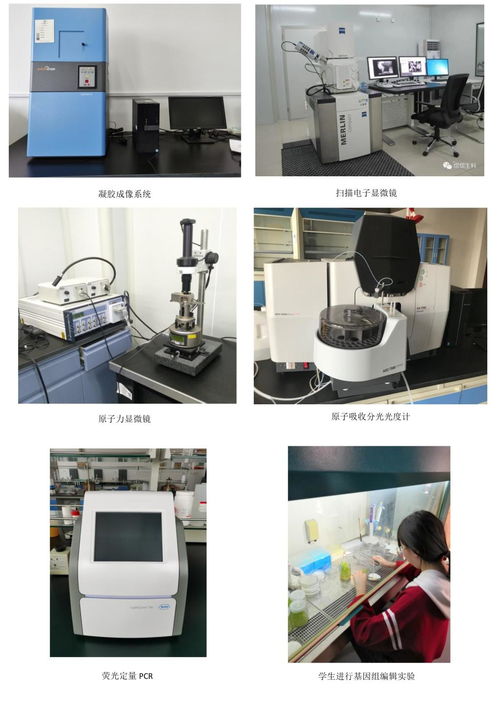 生命科学学院 生物科学 食品质量与安全 生物信息学